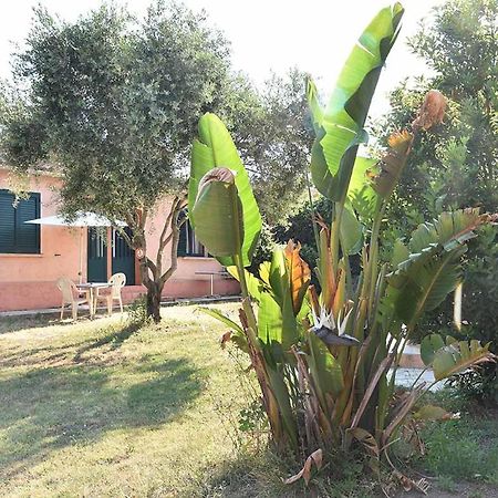 Terracorse Vila Figari  Exterior foto