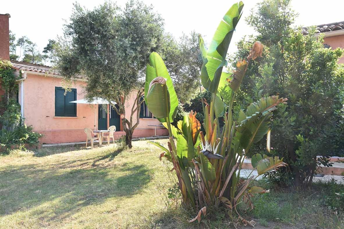 Terracorse Vila Figari  Exterior foto